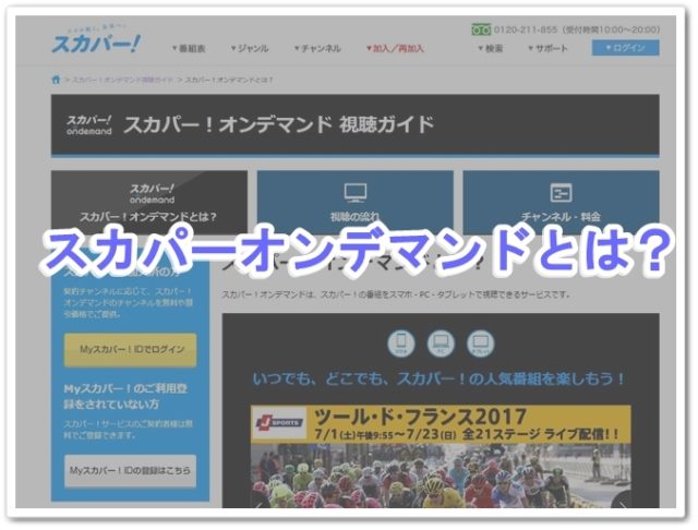 スカパーオンデマンドとは