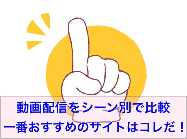動画配信シーン別